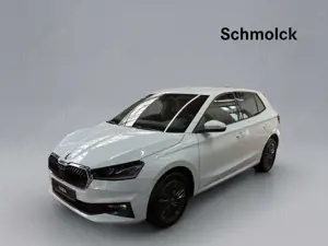 Skoda Fabia Balance 1.0 TSI DSG 116 PS LED ACC PDC RFK