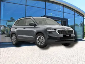 Skoda Karoq Selection 1.5 TSI 110 7-Gang-DSG Automatik