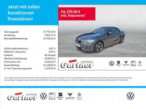 BMW 220 i CABRIO LINE LEDER XENON REAR VIEW SPORT FW PDC