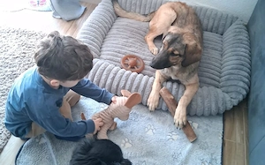 Timba sucht ein neues Zuhause