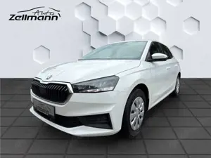 Skoda Fabia Active 48kW ACT 1.0 LED PDC hi. Klima ZV