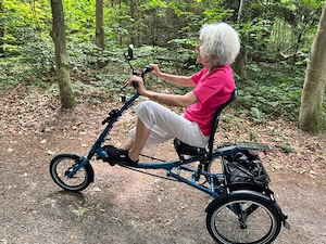 Pfautec ScooterTrike (kein E-Antrieb)   neuwertig   Zubehör inklusive