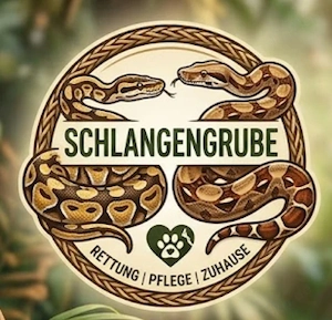 Endstelle: Freie Plätze für Königspythons & Boa Constrictors