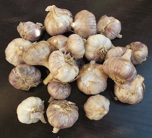 Bio-Knoblauch 1kg