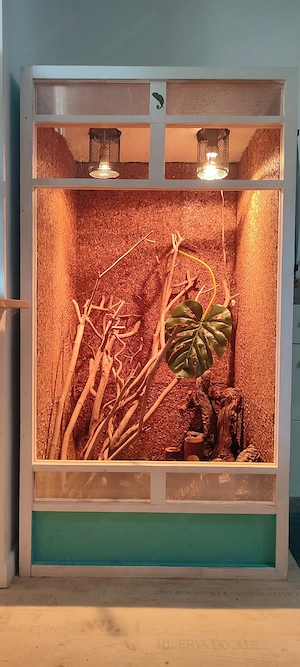 Hochterrarium, Terrarium 
