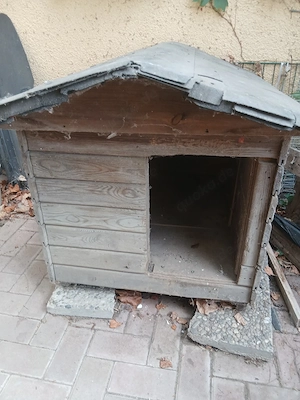 Hundehütte