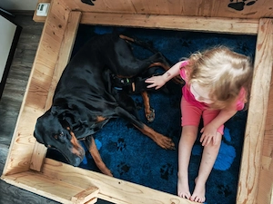 Unsere Dobermann Welpen sind da.