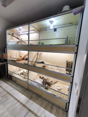 Terrarienanlage mit 6 Becken