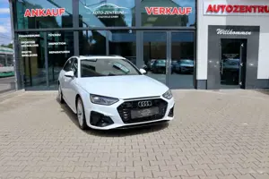 Audi A4 Avant 50 TDI quattro S line Pano DSP ACC