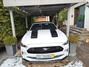 Ford Mustang Mustang Cabrio 2.3 Eco Boost