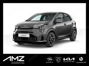 Kia Picanto 1.0 Vision Navi+SHZ+Fernlichtass.+Kam.