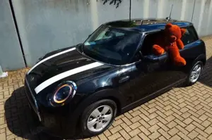 MINI Cooper Essential Trim 1.Hand Automatik LED
