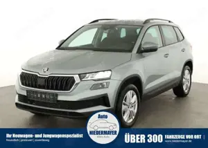 Skoda Karoq 2.0 TDI DSG 4x4 Selection, AHK, LED, Kamera, Winte