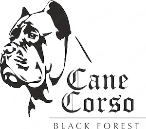 Reinrassige Cane Corso Welpen FCI  IKU 