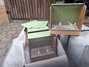 Ausstellungskäfig für Kanarien & Waldvögel 