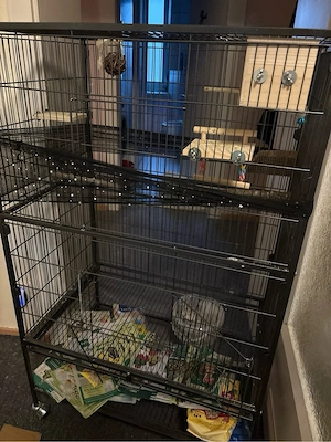 Vogelkäfig 