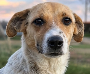 Bella - tolle Mama sucht ihr Happy End!