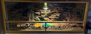 terrarium 120 x 60 x60