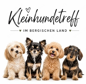 Kleinhundetreff Bergisch Land 