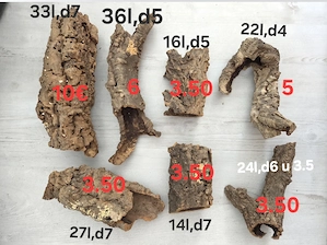 Korkröhren Gecko echse Schlange Amphibien Reptilien Wirbellose 