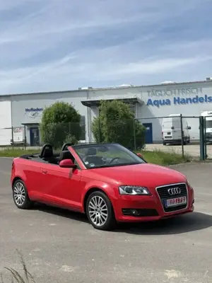 Audi A3 Cabriolet 2.0 TDI DPF S Line Sportpaket (plus)