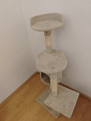 Kratzbaum 