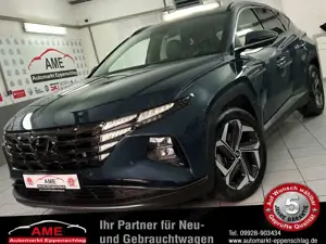 Hyundai TUCSON Premium 1.6 CRDi DCT *Krell|4WD|360°|DAB*