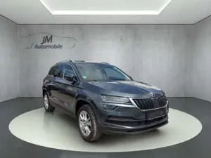 Skoda Karoq Style LED Kamera Sitzheizung