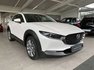 Mazda CX-30 2.5 Exclusive AUTOMATIK Bose, Matrix, 360°, Log-in