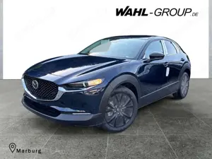 Mazda CX-30 2.5 SkyactiveG 140 Homura*Navi*RFK*PDC*