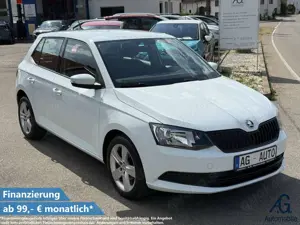 Skoda Fabia Cool Edition TÜV+Service NEU