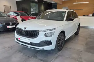 Skoda Kamiq 1.0 TSI Dynamic/Selection AHK LED 5J.GAR