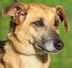 Sunny, ein ganz liebes Mädchen!