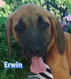 Erwin, 03 26 - möchte gern die Welt sehen