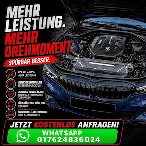 Softwareoptimierung Leistungssteigerung ab 299.- 