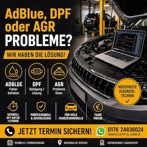 AdBlue DPF   AGR Nox SCR Probleme Diagnose TDI OPF Drallklappen