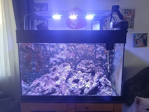 Meerwasseraquarium AquaMedic 325 Liter komplett