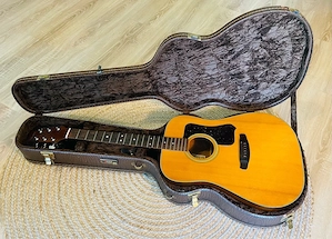 Vintage VW-100 Gitarre 1979, Matsumoku Japan, SN 2531   mit Ortega Koffer, ohne Saiten, echtes Samml