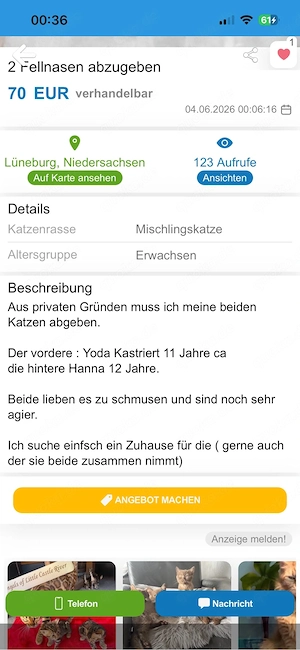 wichtiger hinweis zu den katzen Yoda&Hanna Bild 2