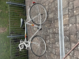 Peugot Rennrad "monaco" 28 Zoll