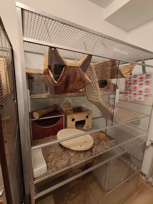 Wunderschönes Terrarium Nagarium 