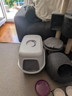Katzen Zubehör 