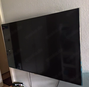 Fernseher Samsung 55 Zoll 