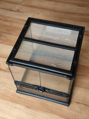 2 Pamphobeteu+Terrarium 