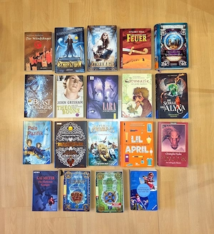 Sammlung Paket Jugendbuch 19 Stück Fantasy 
