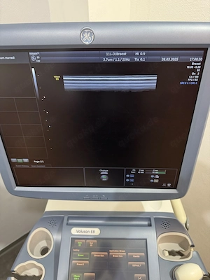 GE Voluson E8 Ultraschallgerät Gynäkologie