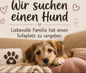 Liebevolle Familie möchte einen Sofaplatz vergeben ! 