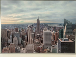 Bild New York von oben