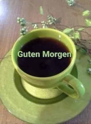 Welche ältere Frau fühlt sich einsam. 