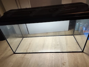 Aquarium mit sehr viel Zubehör 